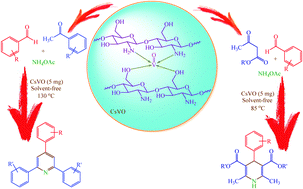 Graphical abstract: Synthesis and application of chitosan supported vanadium oxo in the synthesis of 1,4-dihydropyridines and 2,4,6-triarylpyridines via anomeric based oxidation