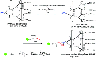 Graphical abstract: A novel high-capacity immunoadsorbent with PAMAM dendritic spacer arms by click chemistry