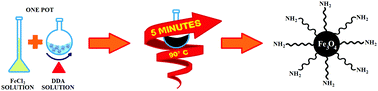 Graphical abstract: Accelerated one-pot synthesis of coated magnetic nanoparticles from iron(ii) as a single precursor