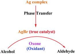 Graphical abstract: Nanosized silver bromide: an efficient catalyst for alcohol oxidation in the presence of a multinuclear silver complex