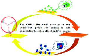 Graphical abstract: Continuous detection of HCl and NH3 gases with a high-performance fluorescent polymer sensor