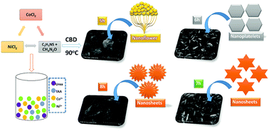 Graphical abstract: Chemical bath deposition of NiCo2S4 nanostructures supported on a conductive substrate for efficient quantum-dot-sensitized solar cells and methanol oxidation