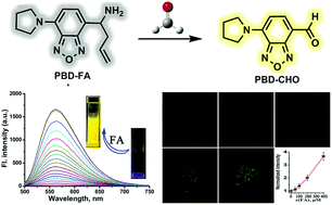 Graphical abstract: The development of an ICT-based formaldehyde-responsive fluorescence turn-on probe with a high signal-to-noise ratio