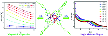 Graphical abstract: Butterfly-shaped tetranuclear Ln4 clusters showing magnetic refrigeration and single molecule-magnet behavior