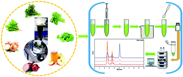 Graphical abstract: Development of an eco-friendly approach based on dispersive liquid–liquid microextraction for the quantitative determination of quercetin in Nasturtium officinale, Apium graveolens, Spinacia oleracea, Brassica oleracea var. sabellica, and food samples
