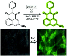 Graphical abstract: A naphthalimide-based fluorescence ‘‘turn-on’’ chemosensor for highly selective detection of carbon monoxide: imaging applications in living cells