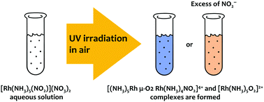 Graphical abstract: The photochemical generation of superoxide Rh(iii) complexes