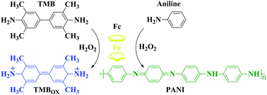 Graphical abstract: The peroxidase-like catalytic activity of ferrocene and its application in the biomimetic synthesis of microsphere polyaniline