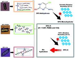 Graphical abstract: Avoiding irreversible 5-fluorocytosine hydration via supramolecular synthesis of pharmaceutical cocrystals