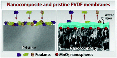 Graphical abstract: Fabrication of anti-fouling PVDF nanocomposite membranes using manganese dioxide nanospheres with tailored morphology, hydrophilicity and permeation