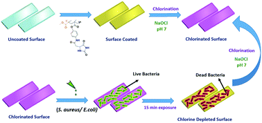 Graphical abstract: Synthesis and polymerization of a new hydantoin monomer with three halogen binding sites for developing highly antibacterial surfaces