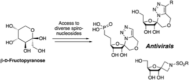 Graphical abstract: Synthesis and antiviral activity of novel spirocyclic nucleosides