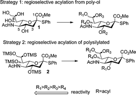 Graphical abstract: Facile and robust methods for the regioselective acylation of N-acetylneuraminic acid