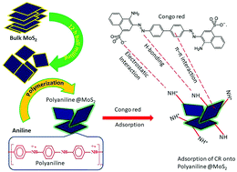 Graphical abstract: A polyaniline@MoS2-based organic–inorganic nanohybrid for the removal of Congo red: adsorption kinetic, thermodynamic and isotherm studies