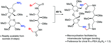 Graphical abstract: Macrocyclic derivatives with a sucrose scaffold: insertion of a long polyhydroxylated linker between the terminal 6,6′-positions