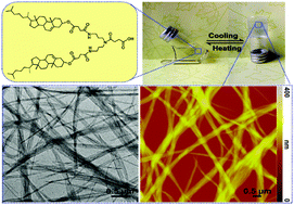 Graphical abstract: Design and gelation behaviors of cholesterol-based derivatives as organogelators: an investigation of the correlation between molecular structures and gelation behaviors