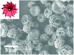 Graphical abstract: Multi-dimensional architecture materials of amino acids and metal ions