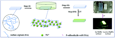 Graphical abstract: Characterization and study of luminescence enhancement behaviour of alginate-based hydrogels