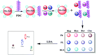 Graphical abstract: Single-sensing-unit 3D quantum dot sensors for the identification and differentiation of mucopolysaccharides