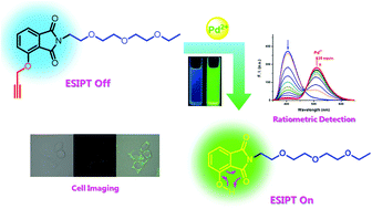 Graphical abstract: A water soluble ESIPT-based fluorescent chemodosimeter for the ratiometric detection of palladium ions in aqueous solution and its application in live-cell imaging