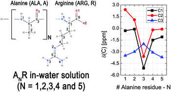 Graphical abstract: Spectroscopic properties and solute–solvent structural analyses for ANR polypeptides in water solution: a sequential Monte Carlo/quantum mechanics (S-MC/QM) theoretical study