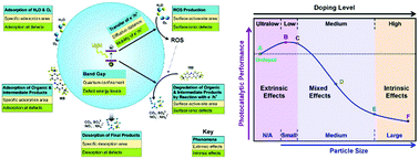 Graphical abstract: Deconvolution of dopant-derived extrinsic and intrinsic effects in TiO2 nanoparticulate thin films