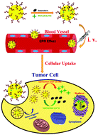 Graphical abstract: A novel polymeric micelle-decorated Fe3O4/Au core–shell nanoparticle for pH and reduction-responsive intracellular co-delivery of doxorubicin and 6-mercaptopurine