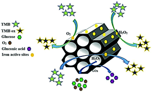 Graphical abstract: Enzymatic activity of Fe-grafted mesoporous silica nanoparticles: an insight into H2O2 and glucose detection