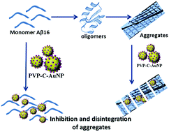 Graphical abstract: Curcumin nanoconjugate inhibits aggregation of N-terminal region (Aβ-16) of an amyloid beta peptide