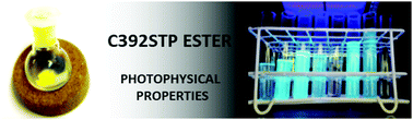 Graphical abstract: Gaining insight into the photophysical properties of a coumarin STP ester with potential for bioconjugation