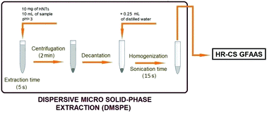 Graphical abstract: Sequential determination of gallium, indium, and thallium in environmental samples after preconcentration on halloysite nanotubes using ultrasound-assisted dispersive micro solid-phase extraction