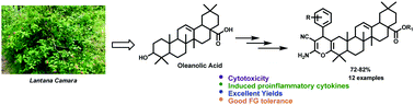 Graphical abstract: Design and synthesis of novel oleanolic acid based chromenes as anti-proliferative and anti-inflammatory agents