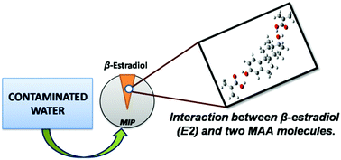 Graphical abstract: Experimental and theoretical studies of solvent polarity influence on the preparation of molecularly imprinted polymers for the removal of estradiol from water