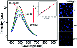 Graphical abstract: Living cell imaging and sensing of hydrogen sulfide using high-efficiency fluorescent Cu-doped carbon quantum dots