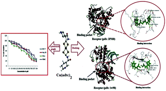 Graphical abstract: Self-assembled transition metal dithiocarbamates of pyridine-3-carboxamide: synthesis, spectral characterization, thermal and biological studies