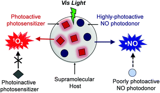 Graphical abstract: Simultaneous supramolecular activation of NO photodonor/photosensitizer ensembles by a calix[4]arene nanoreactor