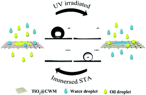 Graphical abstract: An easy preparation of photo-response TiO2@copper wire mesh with quick on/off switchable superwetting for high efficiency oil–water separation