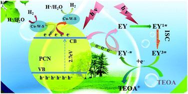 Graphical abstract: Design and synthesis of polymeric carbon nitride@zeolitic imidazolate frameworks (CoWS) semiconductor junction nanowires for efficient photocatalytic hydrogen evolution
