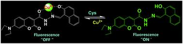 Graphical abstract: Selective and sensitive detection of cysteine in water and live cells using a coumarin–Cu2+ fluorescent ensemble