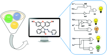Graphical abstract: Structural characterization of a fluorescein hydrazone molecular switch with application towards logic gates