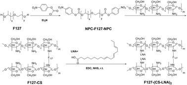 Graphical abstract: α-Linolenic acid-modified pluronic 127-CS copolymeric micelles for the skin targeted delivery of amphotericin B