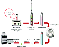 Graphical abstract: Novel generation of nano-structured supramolecular solvents based on an ionic liquid as a green solvent for microextraction of some synthetic food dyes