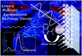 Graphical abstract: Europium amphiphilic naphthalene based complex for the enhancement of linearly polarized luminescence in Langmuir–Blodgett films