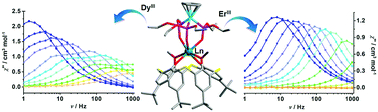 Graphical abstract: Thiacalix[4]arene-supported mononuclear lanthanide compounds: slow magnetic relaxation in dysprosium and erbium analogues