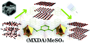 Graphical abstract: Two-step magnetic transition in hybrid organic–inorganic materials of the (m-xylylenediamine)MeSO4 (Me – Mn, Fe, Co, Ni) type