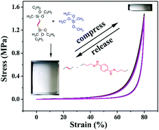 Graphical abstract: Vacuum-dried flexible hydrophobic aerogels using bridged methylsiloxane as reinforcement: performance regulation with alkylorthosilicate or alkyltrimethoxysilane co-precursors