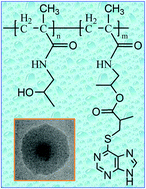 Graphical abstract: Design and fabrication of poly(HPMA)–6-mercaptopurine conjugates and their in vitro anticancer effect