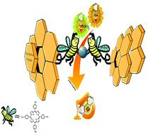 Graphical abstract: Synthesis, characterization and first application of covalently immobilized nickel-porphyrin on graphene oxide for Suzuki cross-coupling reaction