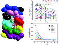 Graphical abstract: Self-assembly of rare octanuclear quad(double-stranded) cluster helicates showing slow magnetic relaxation and the magnetocaloric effect