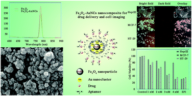 Graphical abstract: Selective chemotherapy and imaging of colorectal and breast cancer cells by a modified MUC-1 aptamer conjugated to a poly(ethylene glycol)-dimethacrylate coated Fe3O4–AuNCs nanocomposite